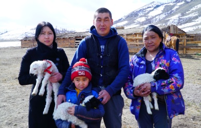 Молодые «кыштаговцы» Рафаэль и Чодураа Саая из Пий-Хема получили первый приплод овец  