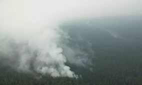В Туве лесные пожары действуют в труднодоступных местах