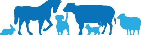 В Туве ветеринарная служба выделена в отдельный государственный орган