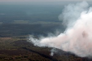 На территории Тувы действует 15 лесных пожаров 