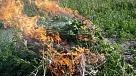 План по уничтожению дикорастущей конопли на территории Тувы  выполнен на 95 %    