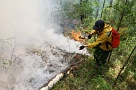 Премьер Шолбан Кара-оол призвал земляков  быть максимально осторожными с огнем и воздержаться от выхода в лес