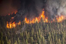 Властям Тувы поручено нарастить силы и средства  для тушения крупных лесных пожаров