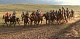 В Туве впервые состоялись конные скачки, посвященные памяти Тувинских добровольцев, освобождавших СССР от фашистов