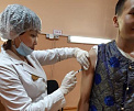 В Туве примут меры по профилактике клещевого энцефалита