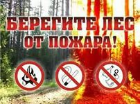 В Туве снят режим ЧС регионального характера, объявленный в связи с лесными пожарами 