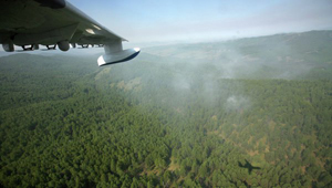 В Туве действует 23 лесных пожара - Агентство ГО и ЧС