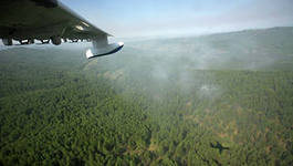 В Туве начали готовиться к пожароопасному периоду, который по прогнозу ФБУ «Авиалесоохрана» придется на апрель