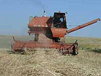 В Туве подведены предварительные итоги уборки урожая 2013 года