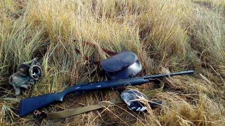 Об изменениях в Правилах охоты и сроках охотничьего сезона