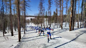 В Туве в шестой раз прошел лыжный марафон «Снежный барс – 2023»
