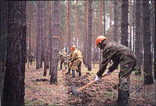           В Туве принимают меры по борьбе с лесными пожарами  