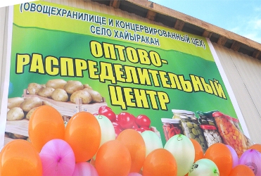В Дзун-Хемчикском районе открылся оптово-распределительный центр с овощехранилищем