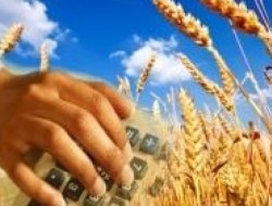 Тува получит более 40 млн. рублей на поддержку сельскохозяйственных кооперативов 