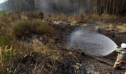 В Туве ликвидируют три лесных пожара, причиной которых стали грозы 