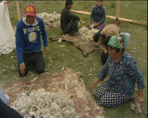 Второй месяц  в Туве работают группы монгольских  животноводов  и специалистов сельского хозяйства