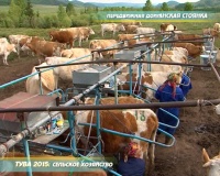 Тува - 2015: сельское хозяйство