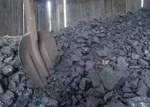 Кто устанавливает цену на каменный уголь и кому выдается компенсация на его приобретение – разъяснение Минэкономики Тувы