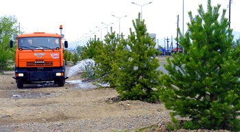 В Туве  за время проведения конкурса  по благоустройству   высажено более 17 тысяч деревьев и кустарников  