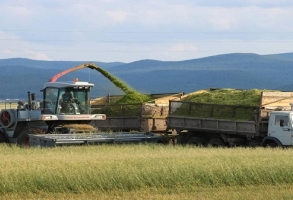 Земледельцы  Тувы завершают уборку урожая 2014 года  