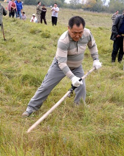 Глава Тувы возглавил сенокос на полях Улуг-Хема и направил скошенное сено в поддержку Монгун-Тайге
