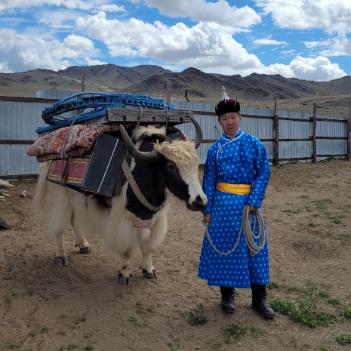 В Монгун-Тайгинском кожууне Тувы впервые проходит праздник в честь яка и яководов