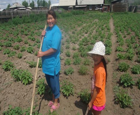 В Туве в 2018 году в губернаторском проекте «Социальный картофель» участвуют более 2 тысяч многодетных  семей