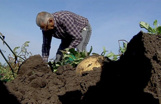  Успех акции «Социальный картофель» зависит от расторопности органов местного самоуправления – Глава Тувы 