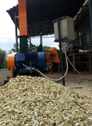 В Туве откроют производство топлива из отходов лесопереработки и низкосортной древесины