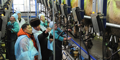 В Туве техническое переоснащение сельхозпредприятий серьезно увеличило общий объем  производства молока 