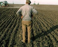 Минсельхоз Тувы в 2016 году ориентирован на использование только орошаемых земель под посевные работы