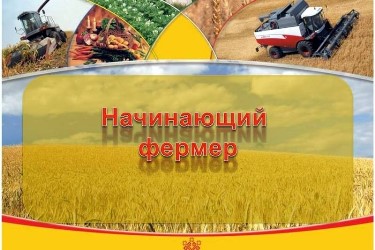 Итоги конкурсного отбора на предоставление грантов в форме субсидий на поддержку начинающих фермеров – Минсельхозпрод Тувы 