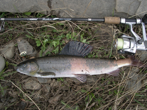 В Туве открыли новый рыболовный сезон