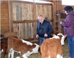 Представитель Минсельхоза России: Я убедился, что в Туве идет интенсивная  работа    по поддержке животноводов