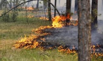Глава Тувы потребовал от Госкомлеса принимать серьезные меры по предупреждению пожаров