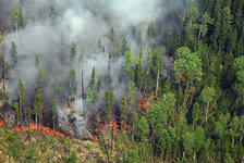 К тушению лесных пожаров в Туве подключается  Министерство обороны России 