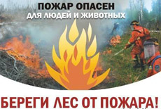 В Туве продлено действие особого противопожарного режима и запрещена охота 