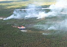 Оперативная информация  по лесопожарной обстановке на территории Республики Тыва 