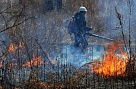 В Туве 27 апреля действуют четыре лесных пожара