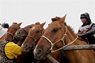 Глава Тувы потребовал от организаторов конных скачек обеспечить все правила безопасности