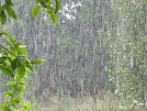 В Туве ливневые дожди помогли снять напряженность в борьбе с лесными пожарами 