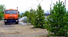 В Туве  за время проведения конкурса  по благоустройству   высажено более 17 тысяч деревьев и кустарников  