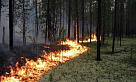 В Туве за сутки ликвидировано шесть лесных пожаров