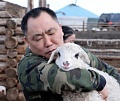В овцеводстве и козоводстве Тувы будут субсидировать создание обособленных групп животных-производителей 