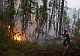 В Туве намерены привлечь авиацию к тушению лесных пожаров в республике