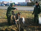 В Туве состоялась экологическая акция «День посадки леса»