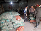 В Туве участники губернаторского проекта «Народный картофель» начали получать семена овощных культур