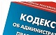 Тува предлагает наказывать правонарушителей обязательными работами без суда