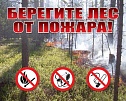 В Туве на 14 мая действующих лесных пожаров нет 