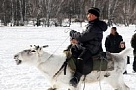 В Тоджинском районе обсудили вопросы развития оленеводства в Туве на примере «северных» регионов России